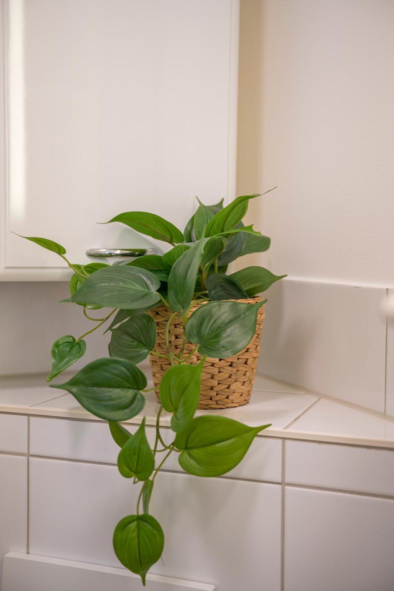 Appartamento Haus Unterm Mammutbaum - Elberadweg Magdeburgo Esterno foto